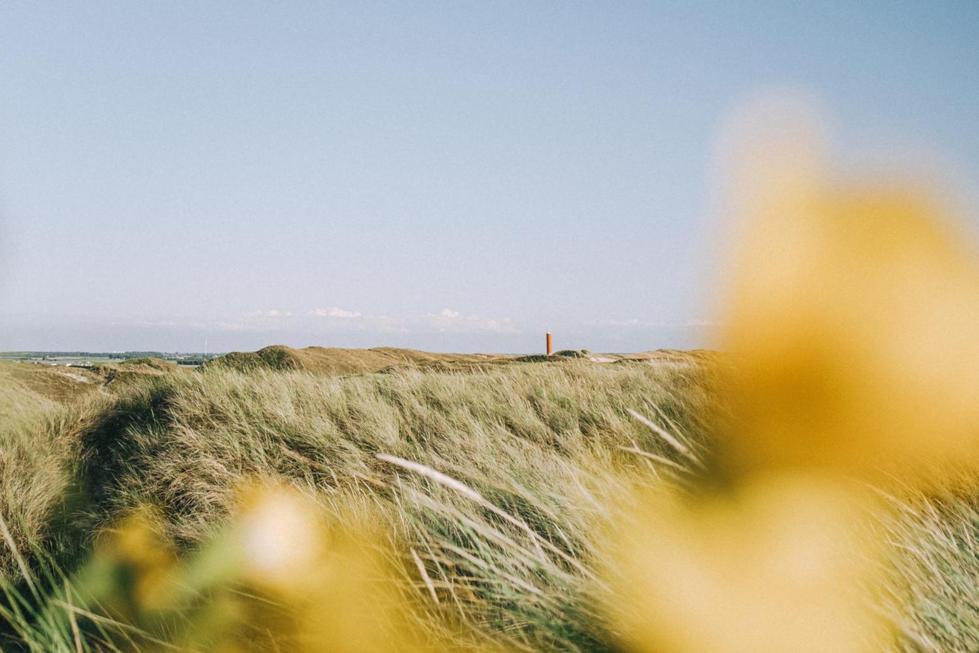 Beach Appartement 14 - Aan De Duinen, Callantsoog Aan Zee Bagian luar foto